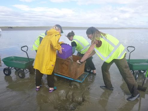 The survey team in action, credit Katrin Berkenbusch.