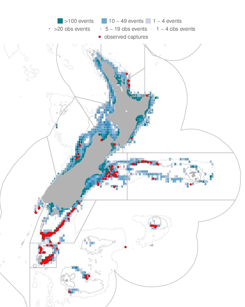 Observed seabird captures in New Zealand trawl fisheries during the 2010&ndash;11 fishing year.