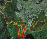 Mountain bike tracks in Wellington