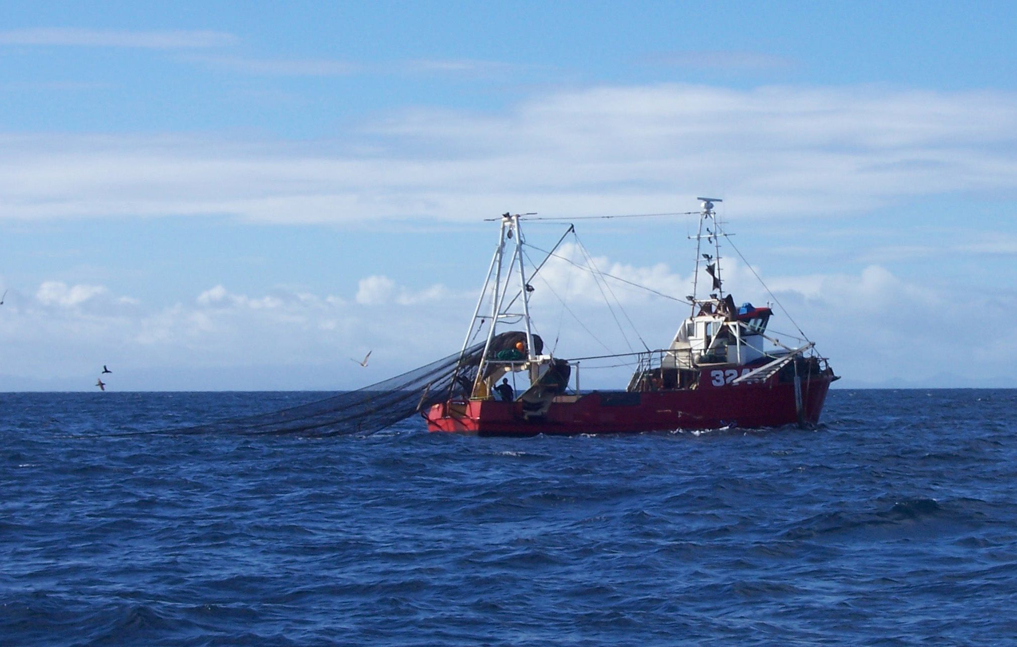 In inshore trawler in the Hauraki Gulf. (Photo: J Pierre).